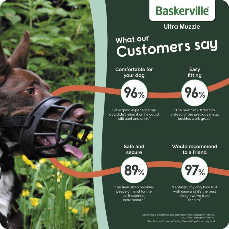 Fitting a top baskerville muzzle