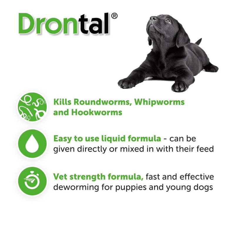 Best puppy worm medicine online