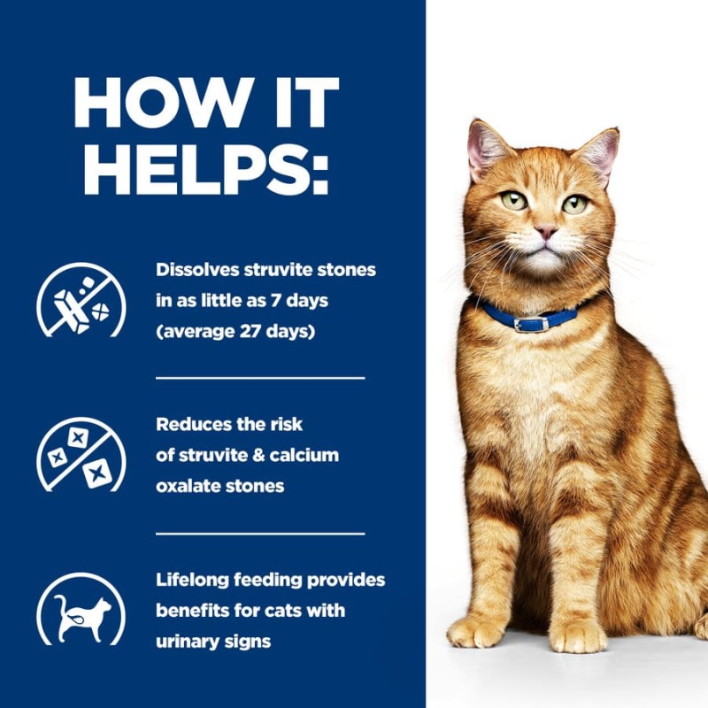 Cat struvite crystals diet discount