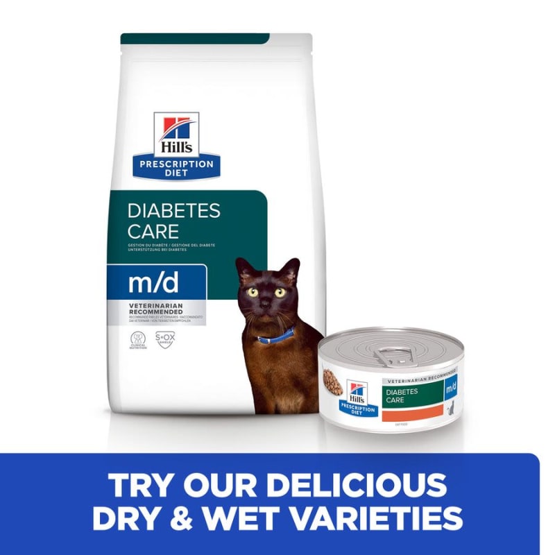 Hills feline diabetic best sale food