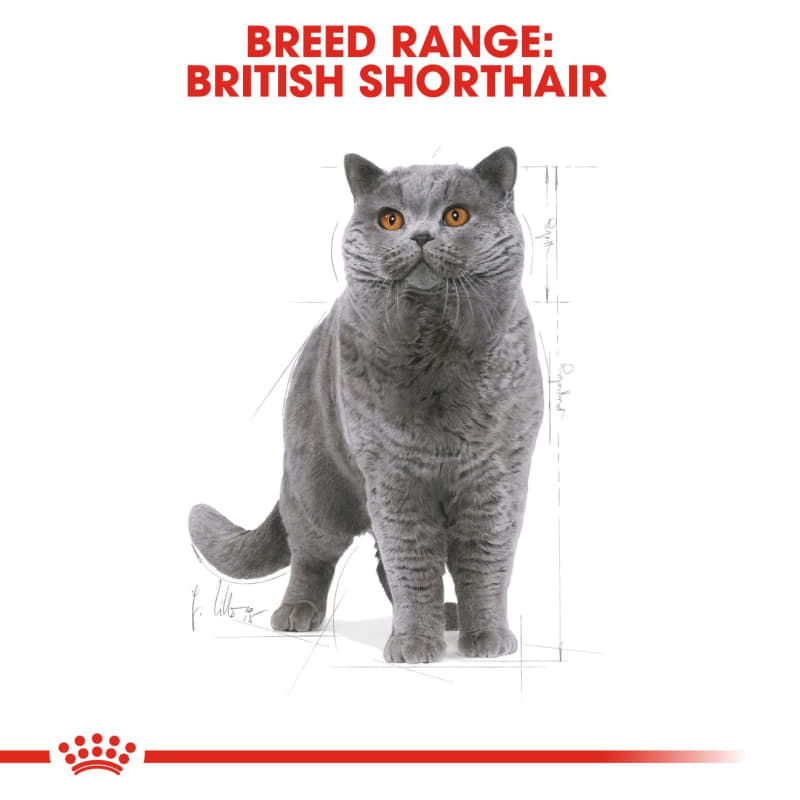 Royal Canin British Shorthair Adult Cat MedicAnimal