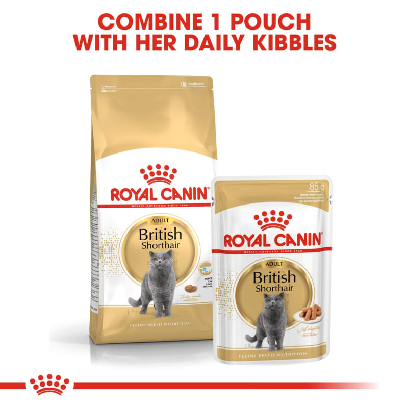 Royal Canin British Shorthair Adult Dry Cat Food 4kg