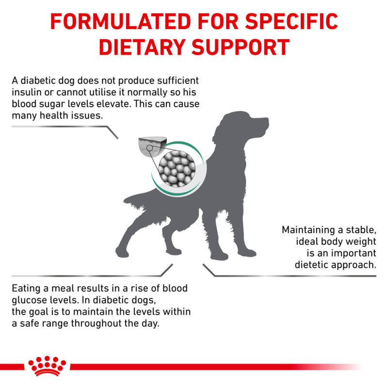 Foods diabetic top dogs can eat