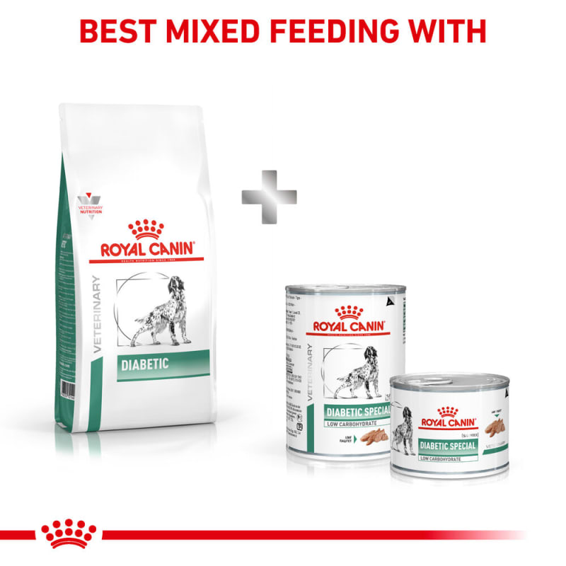 Royal canin diabetic wet dog food top