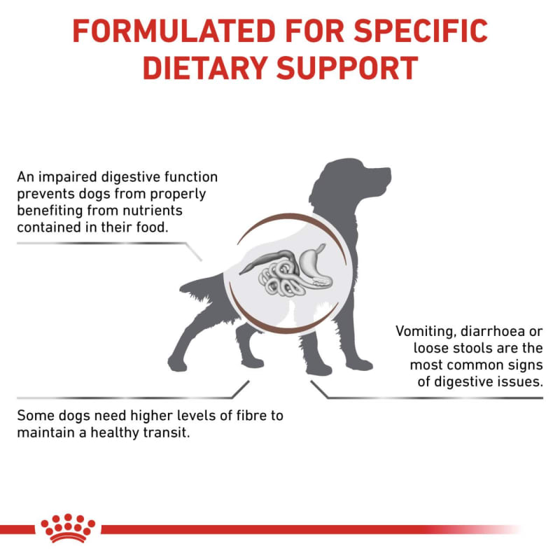 Do dogs need fibre discount
