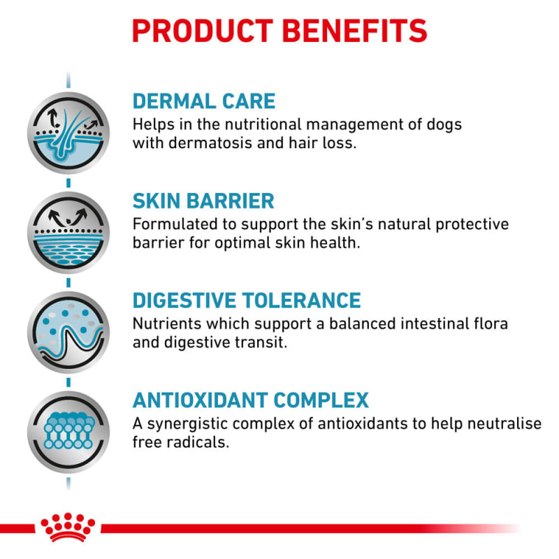 Royal canin skin support cheap ingredients