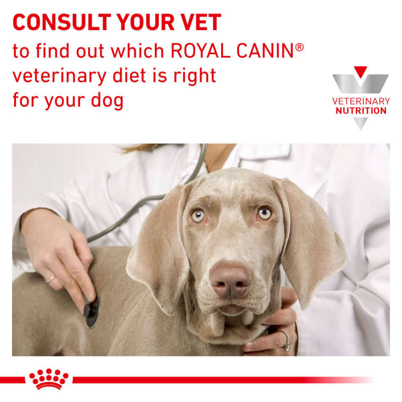 Royal canin anti allergy dog food top
