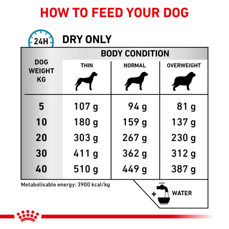 Royal canin skin care 12 deals kg