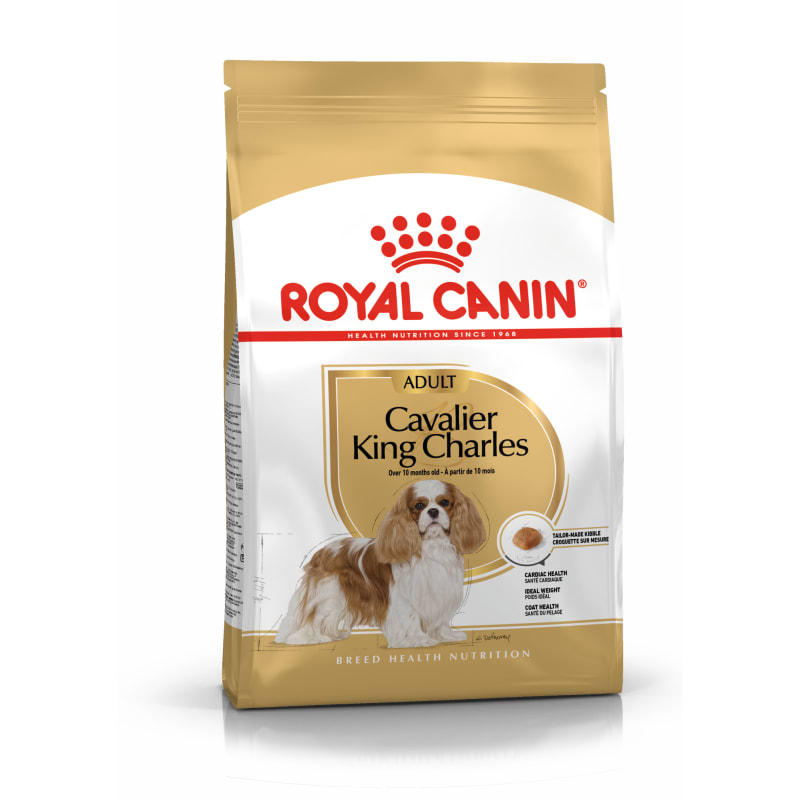 Cavalier king shop charles sensitive stomach