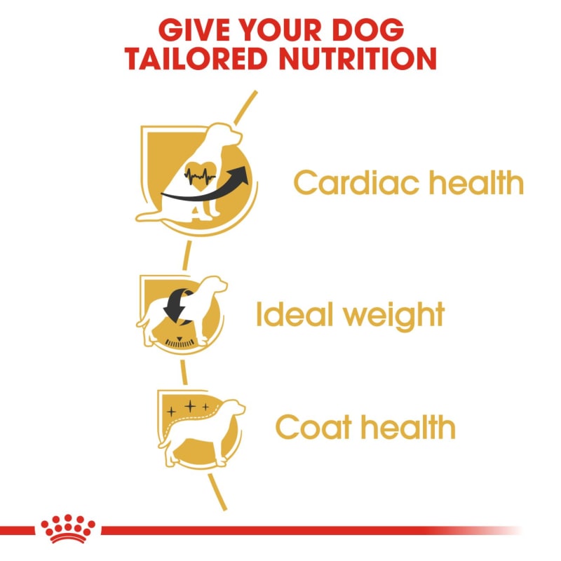Royal Canin Cavalier King Charles Adult MedicAnimal