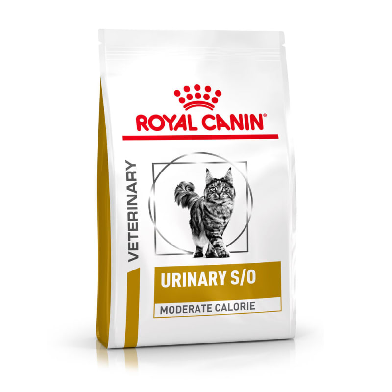 Royal canin 2025 cat adult