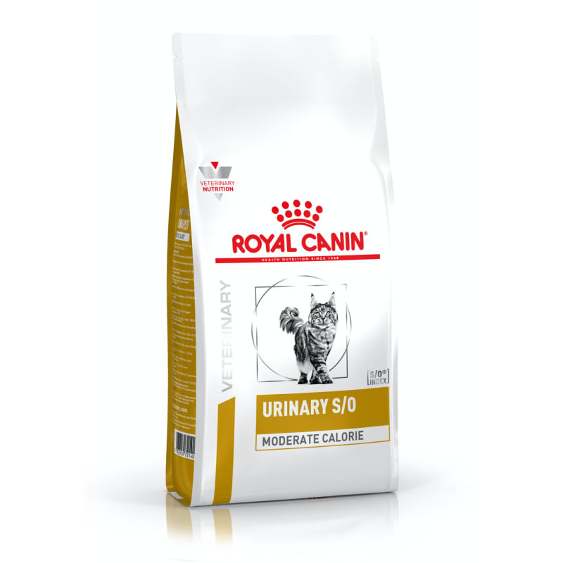 Royal canin urinary so canned dog food reviews shop