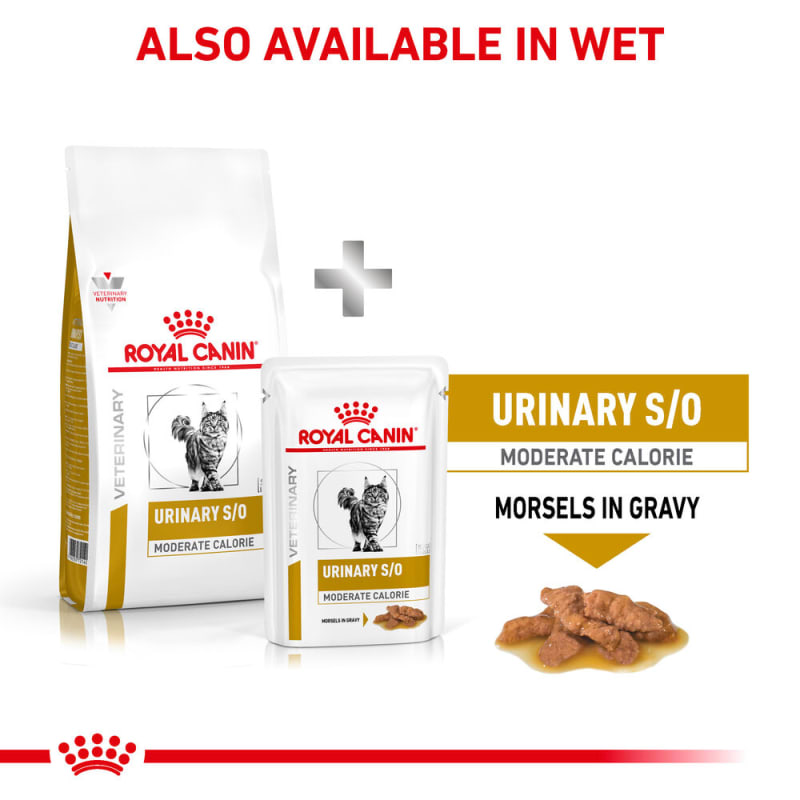 Royal canin moderate clearance