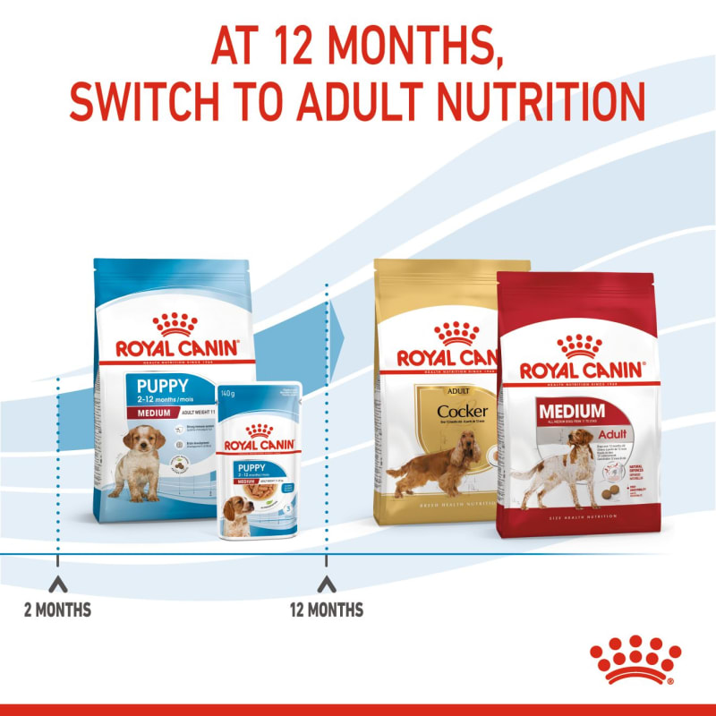 royal canin maxi puppy 18kg