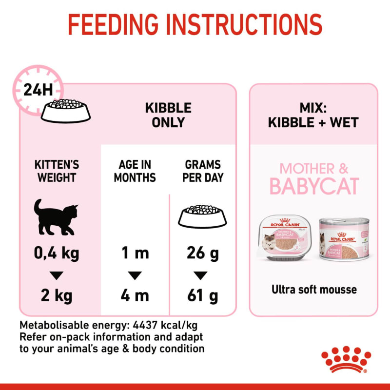 Baby cat kibble top