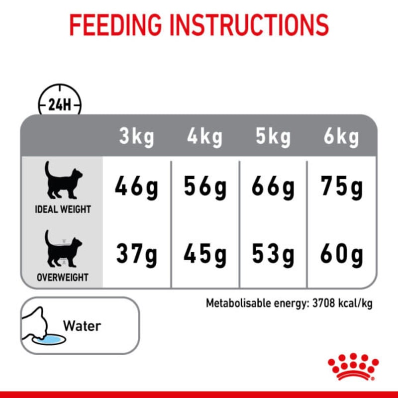 Royal canin dental biscuits 2025