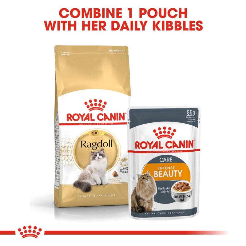 Best food store for ragdoll cats