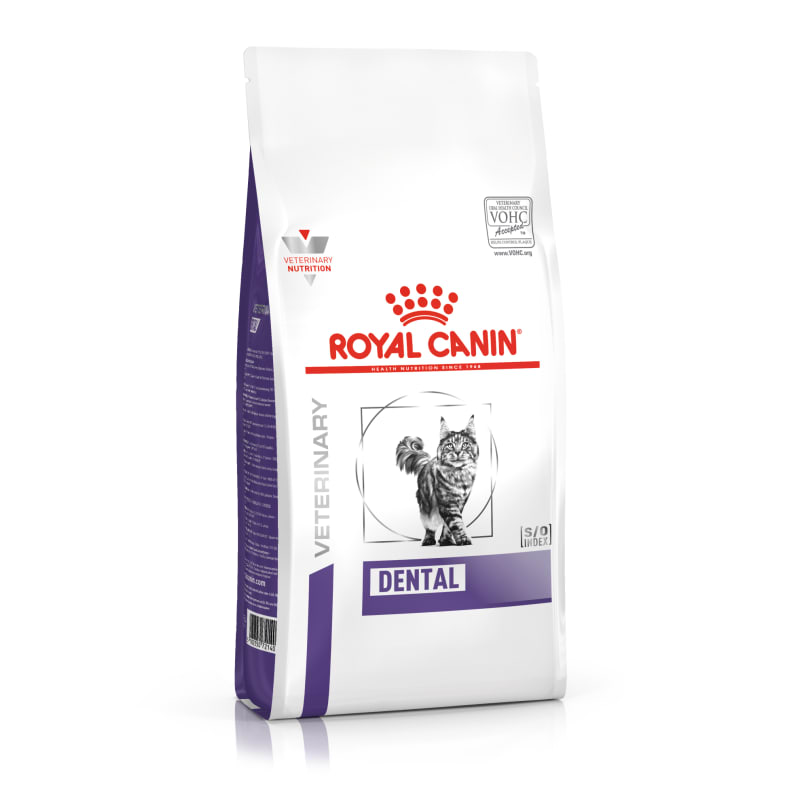 Best cat food for gingivitis shop