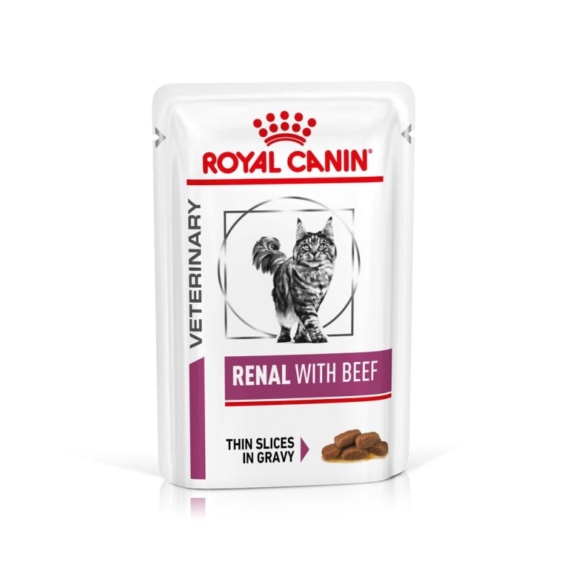 Royal Canin Veterinary Diet Feline Renal Support S Dry Cat Food