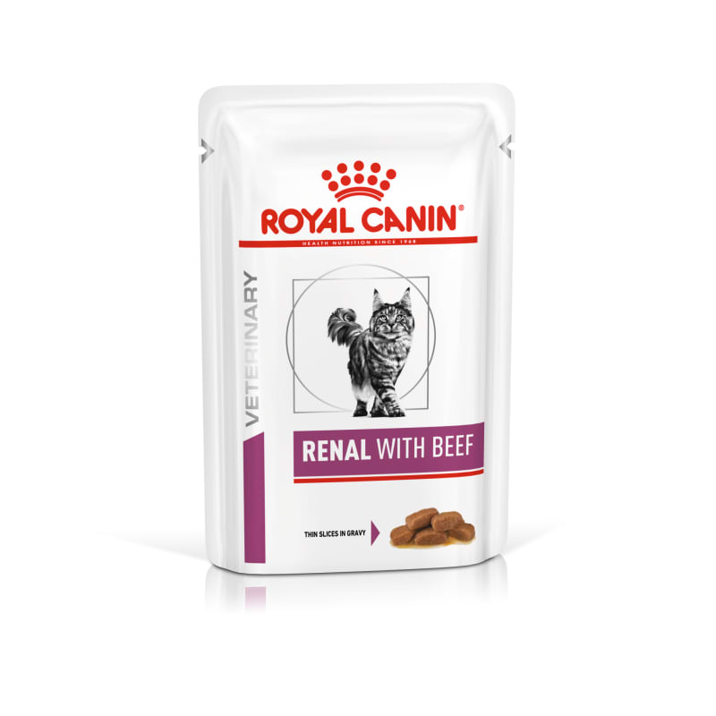 Best over the counter cat food for kidney disease sales