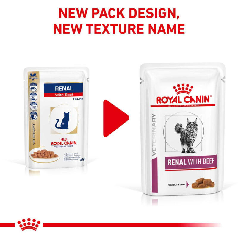 Canin renal hot sale cat food