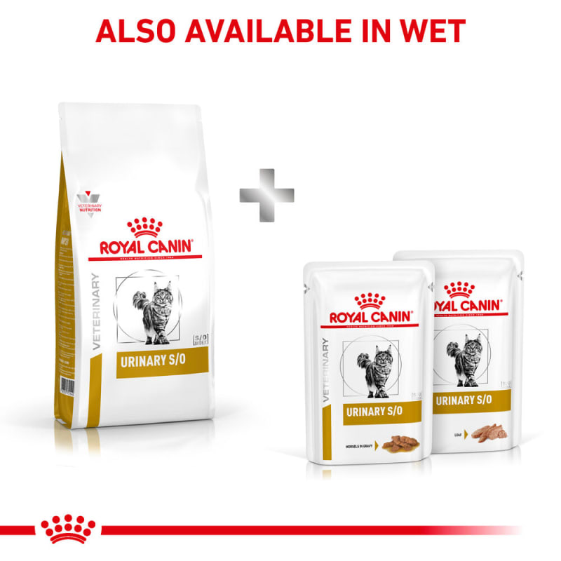Royal canin veterinary diet 2025 urinary high dilution feline