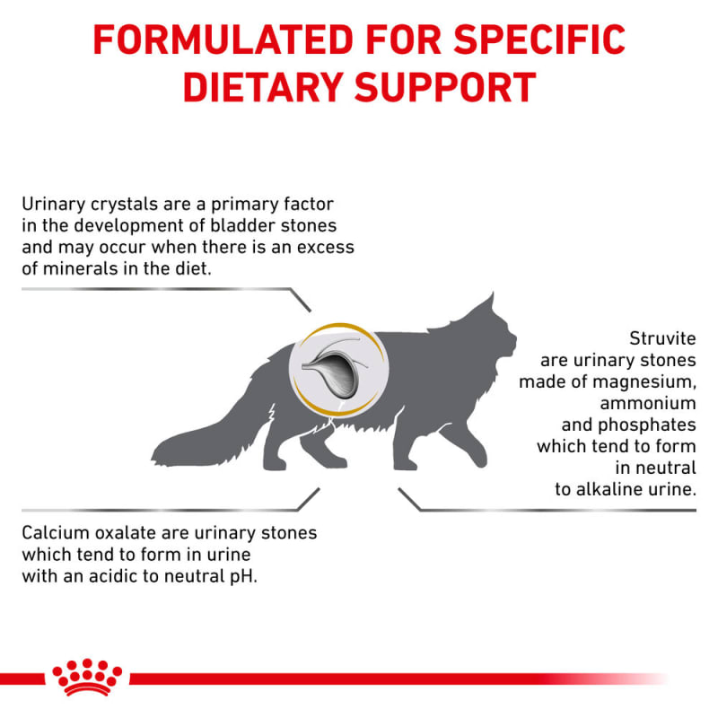 Cat food for outlet bladder crystals
