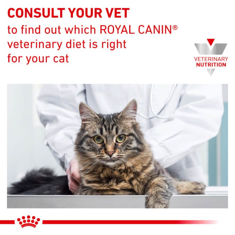 Royal canin urinary stress cat deals food