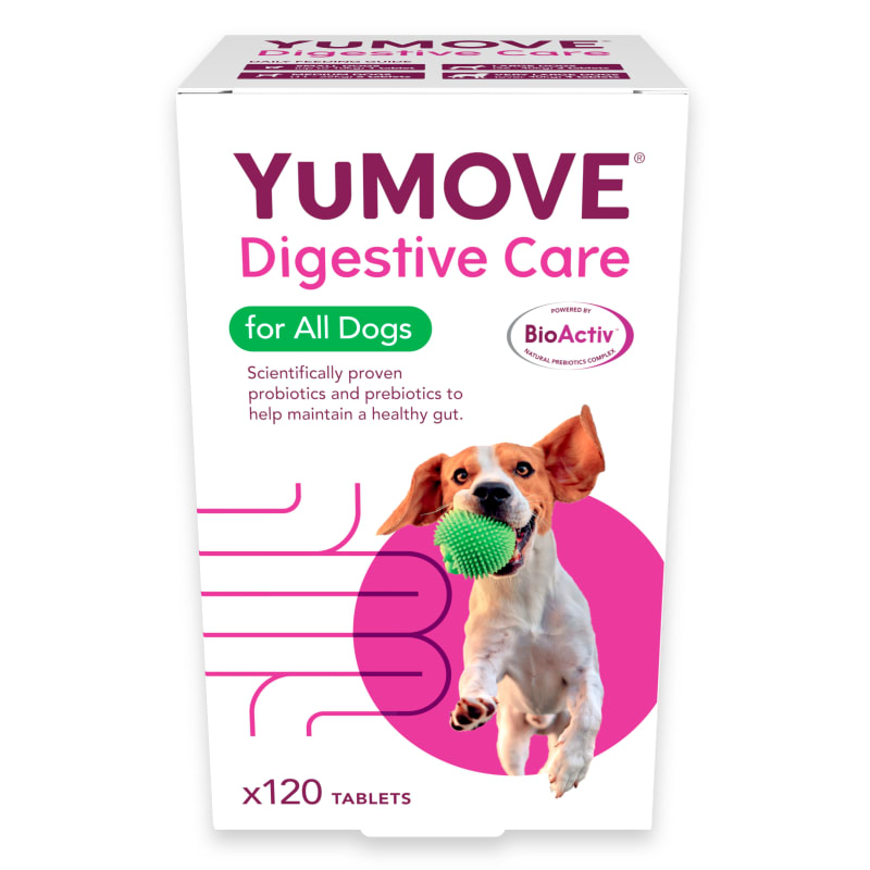 Best all in one online dog supplement