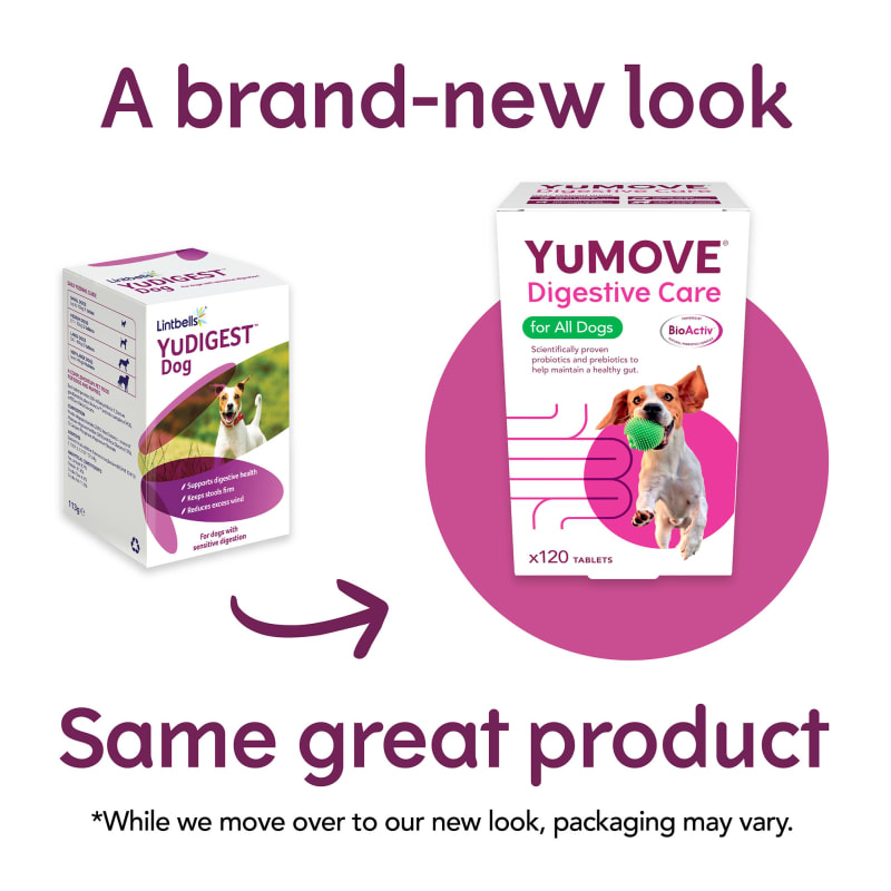 Yumove diarrhea online