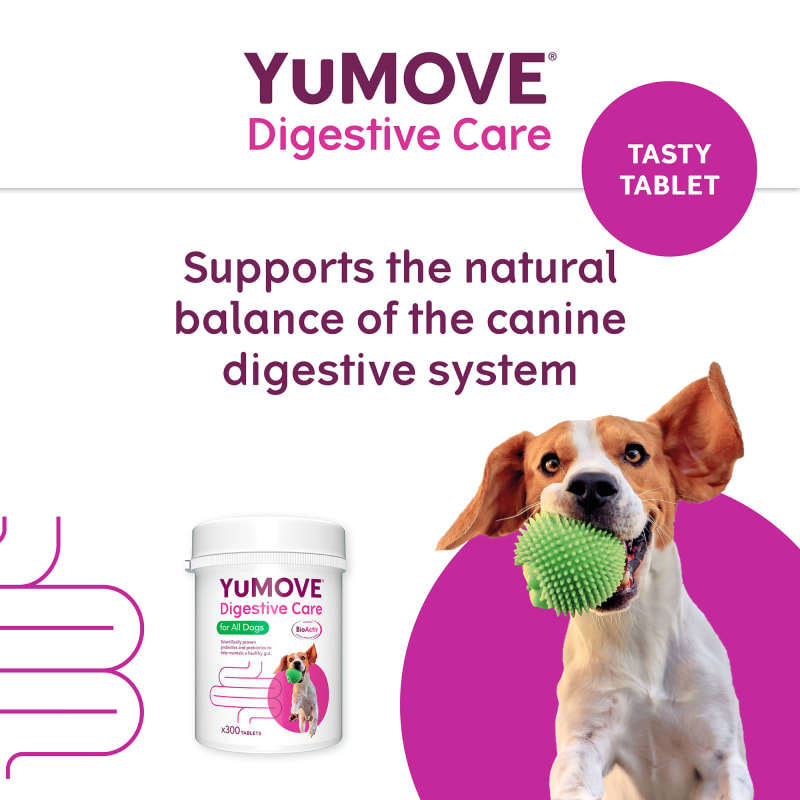 YuDIGEST Digestive Health Supplement for MedicAnimal