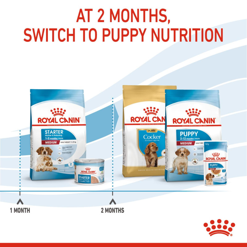 1 month baby 2025 dog food