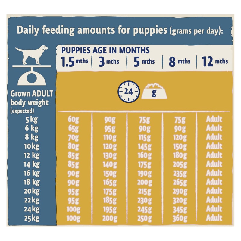 Beneful dog food serving clearance size