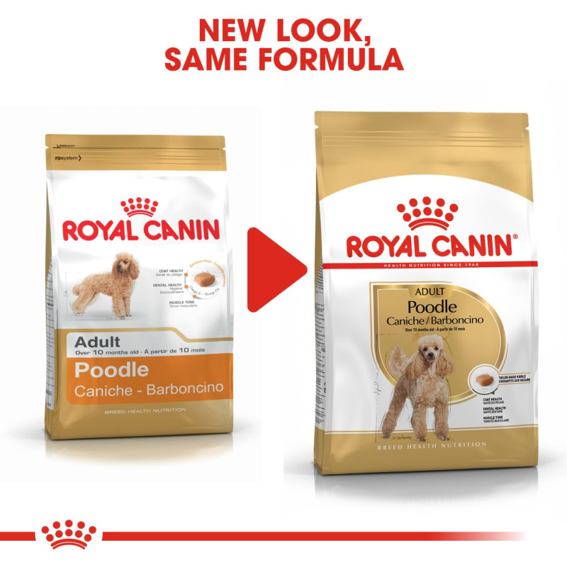 Best dry dog food for shop poodles