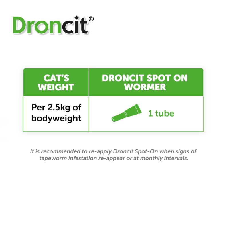 Spot on tapeworm treatment for cats sales