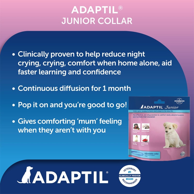 Adaptil clearance collar dog