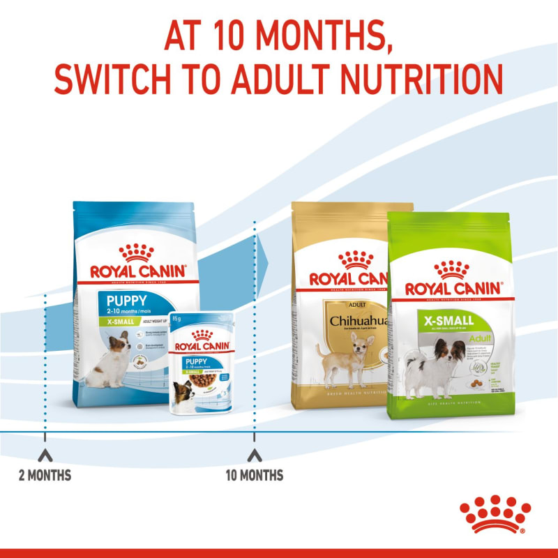 Royal canin x top small adulte