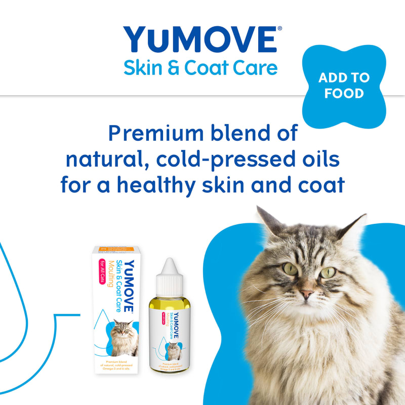 Yumega cat pets at cheap home