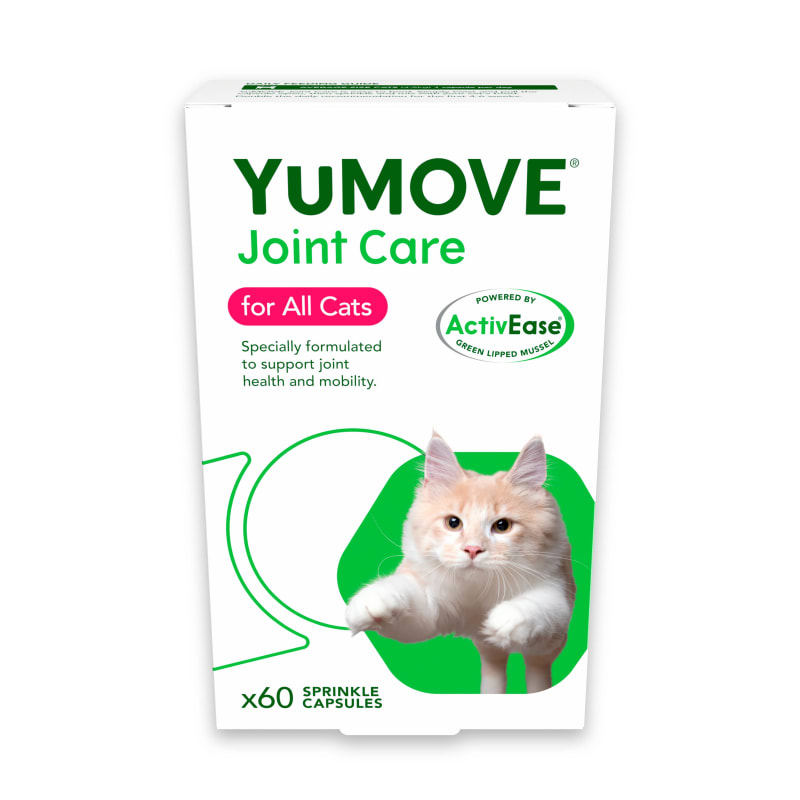 Best joint supplement sales for cats