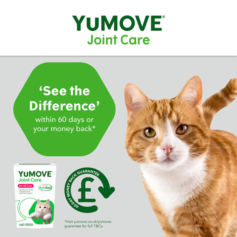 YuMOVE Triple Action Joint Supplement for MedicAnimal