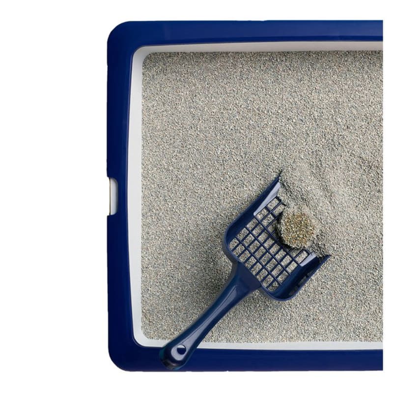 Catsan cat litter clumping clay discount