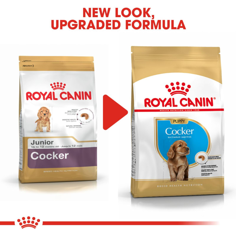 Best dog food for cocker spaniel puppies top