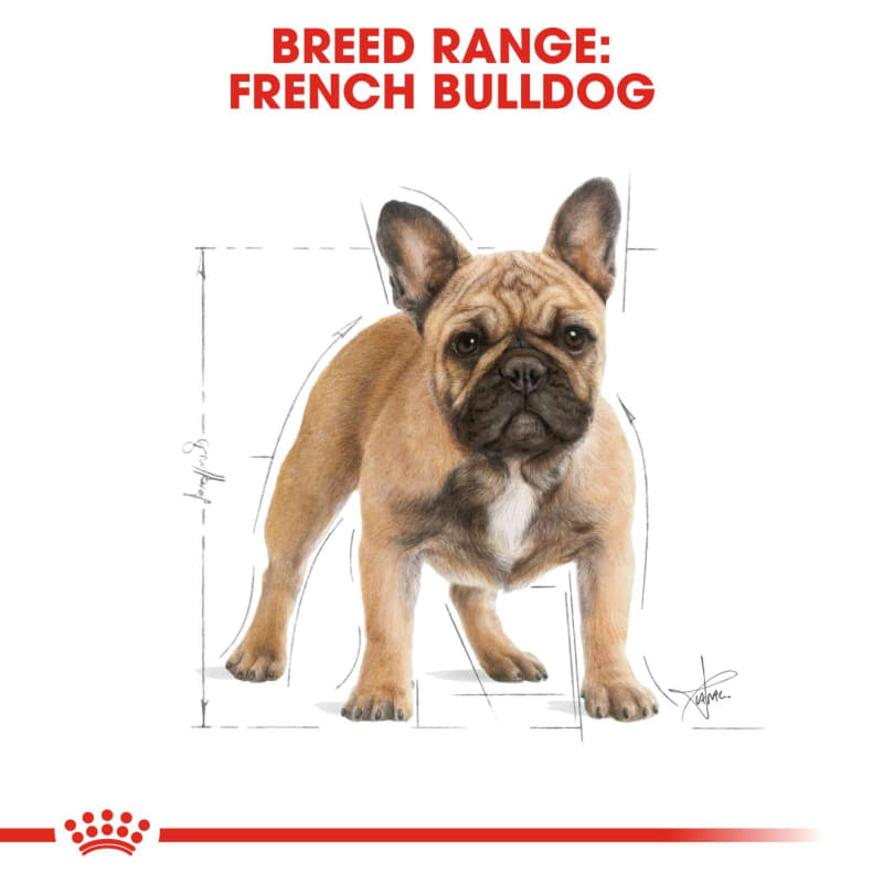 Fish oil for french bulldog shop
