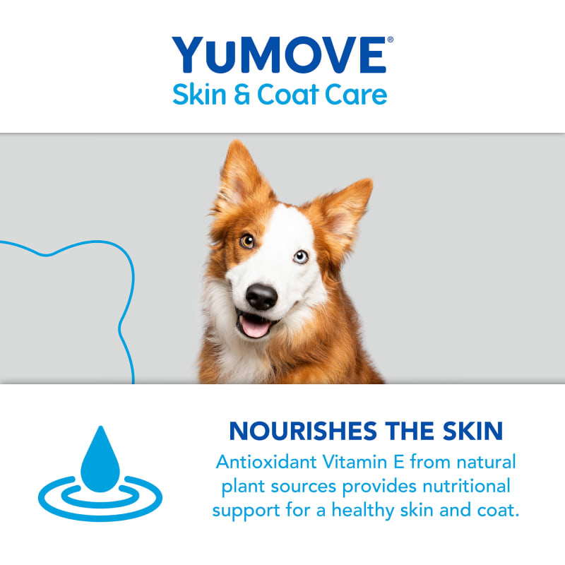 Dog skin and coat care on sale