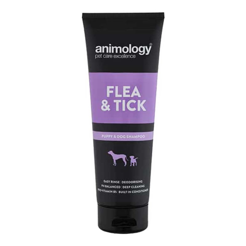 Best dog outlet wash for fleas