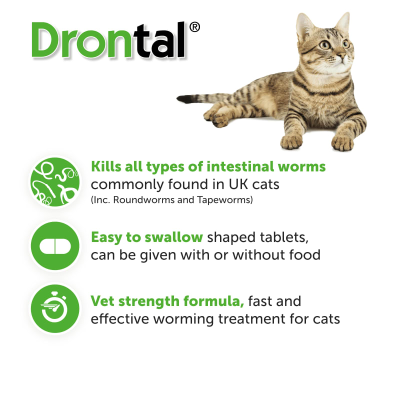 Best cat worming treatment uk sale