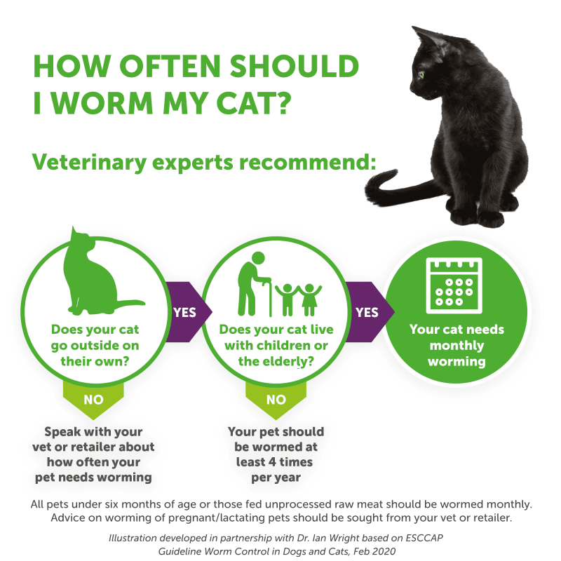 Drontal wormer deals for cats