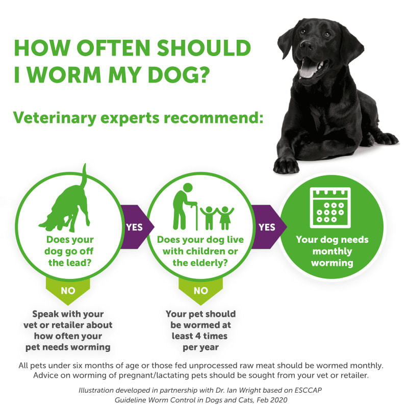 Drontal xl worming tablets new arrivals for dogs