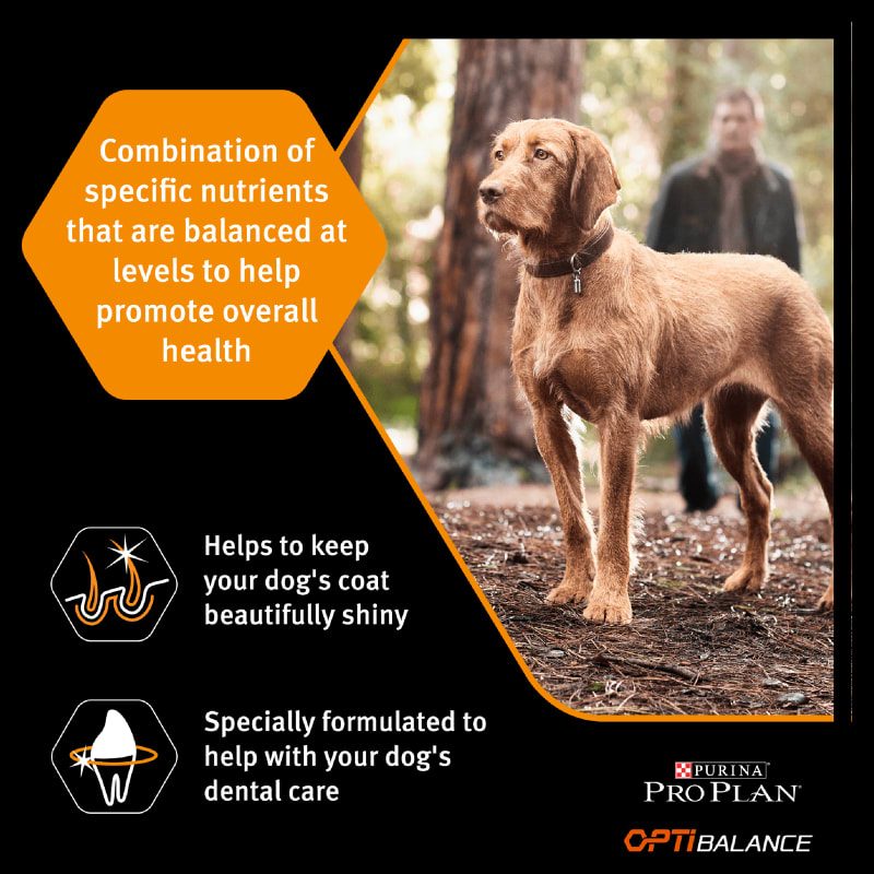 Purina Pro Plan Opti Balance Medium Adult MedicAnimal