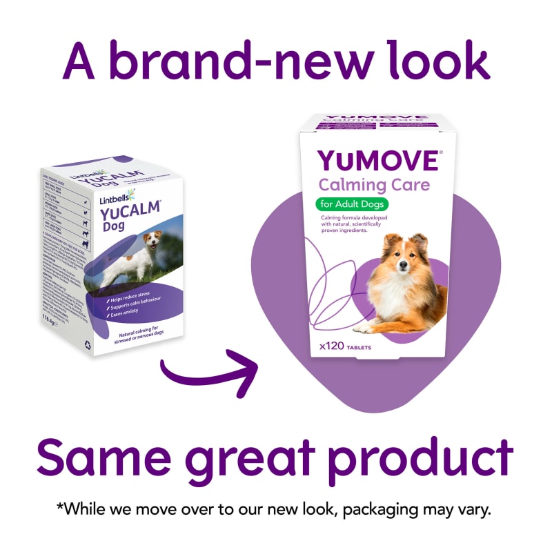 Yumove for 2024 people